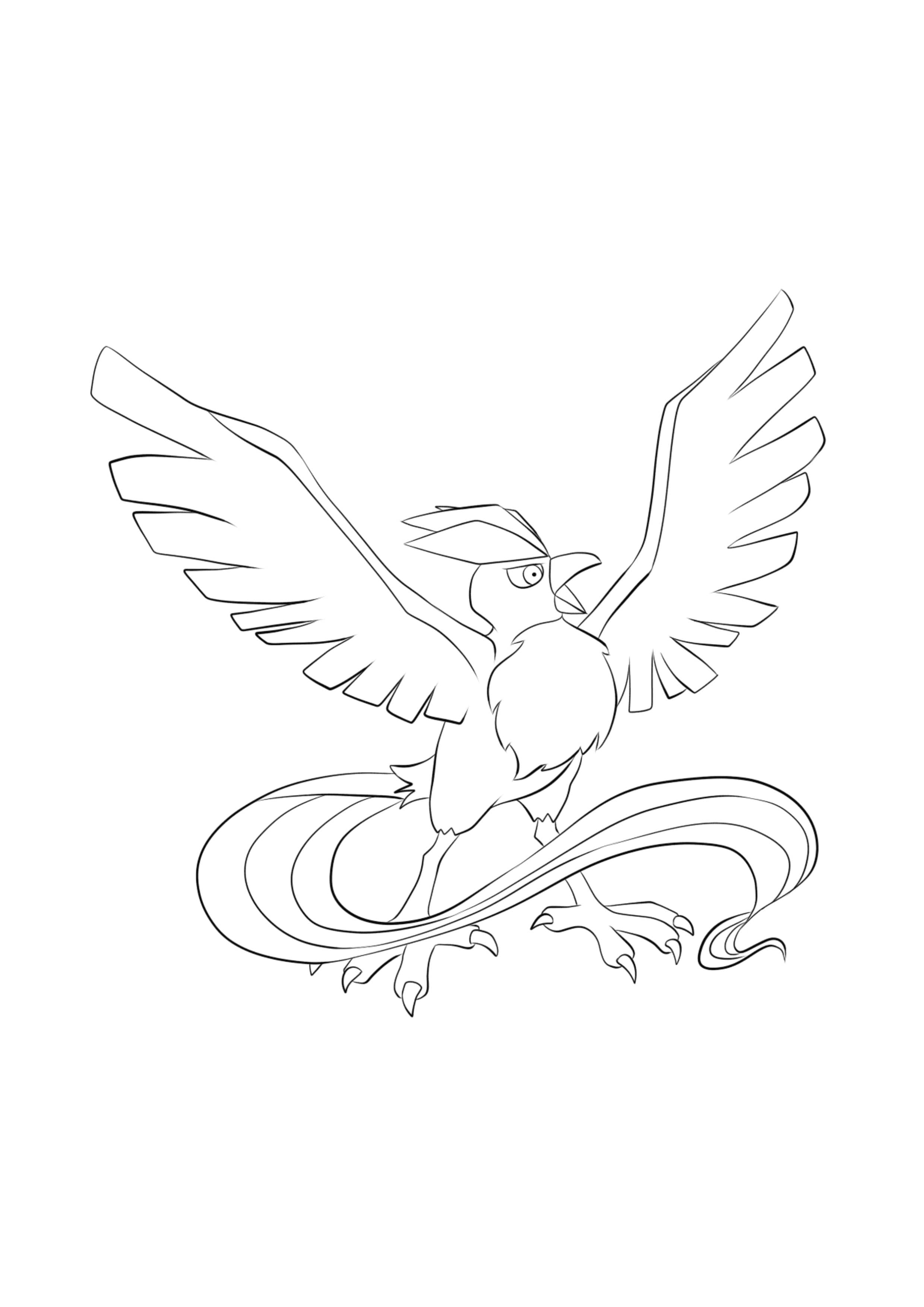 Página para colorear Articuno (A4) para imprimir