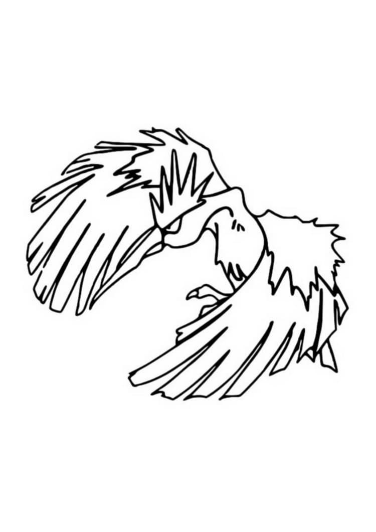 Página para colorear Fearow (A4) para imprimir
