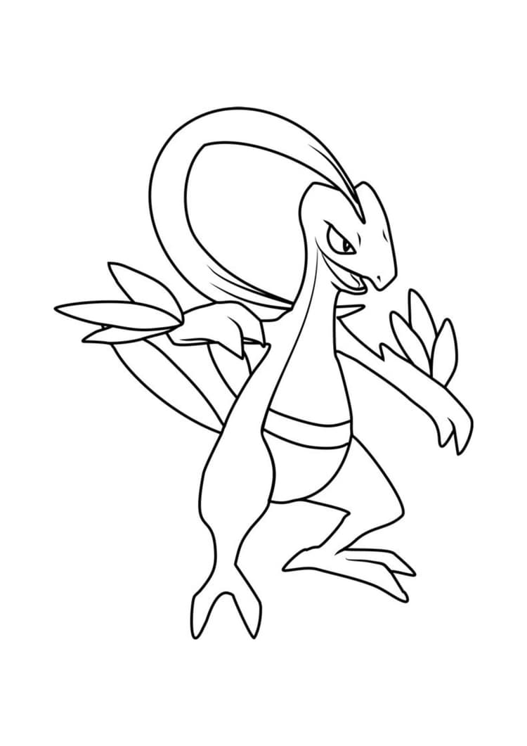 Página para colorear Grovyle (A4) para imprimir