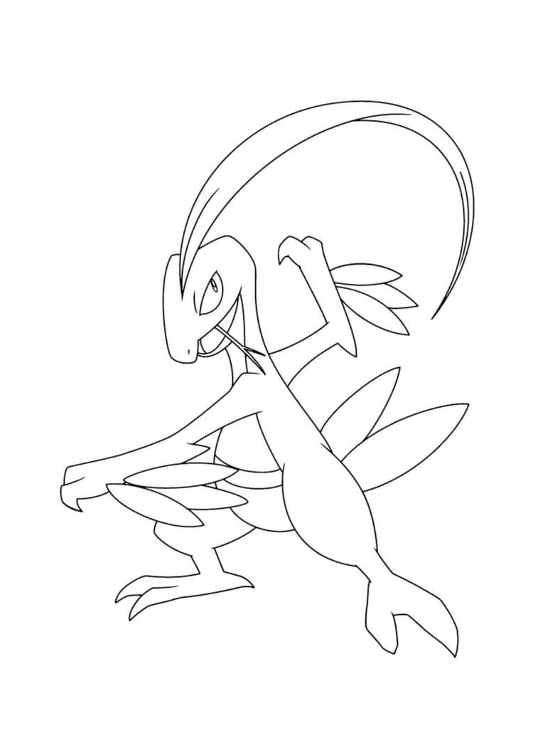 Página para colorear Grovyle (A4) para imprimir