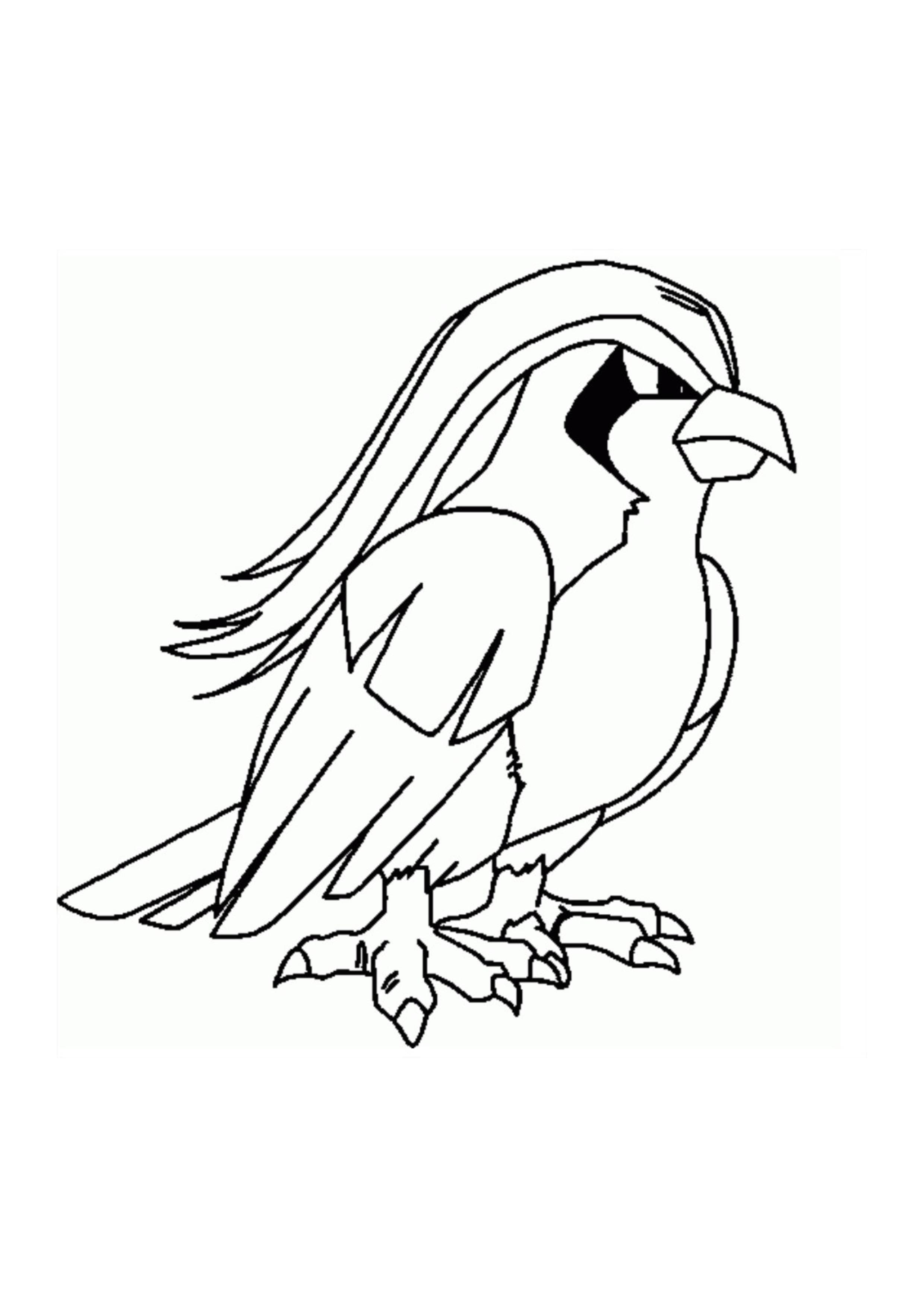Página para colorear Pidgeot (A4) para imprimir