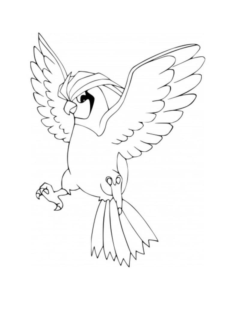 Página para colorear Pidgeotto (A4) para imprimir