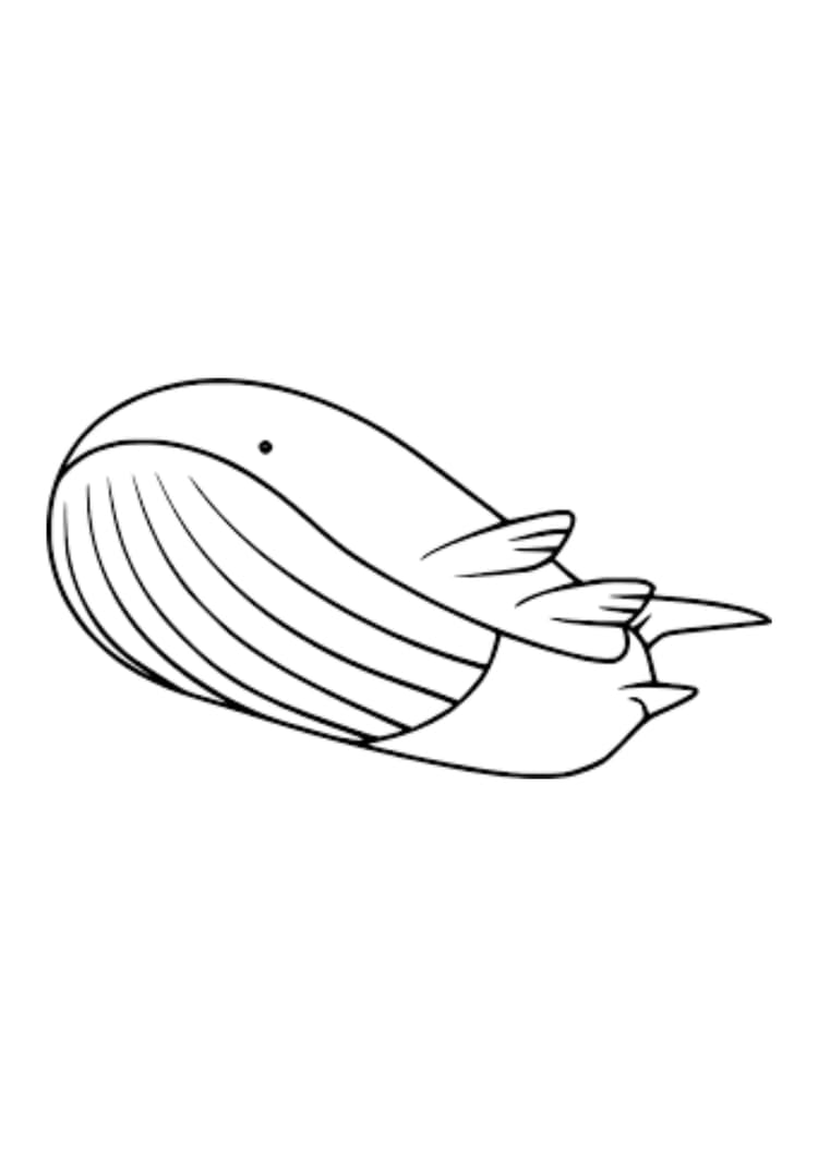 Página para colorear Wailord (A4) para imprimir