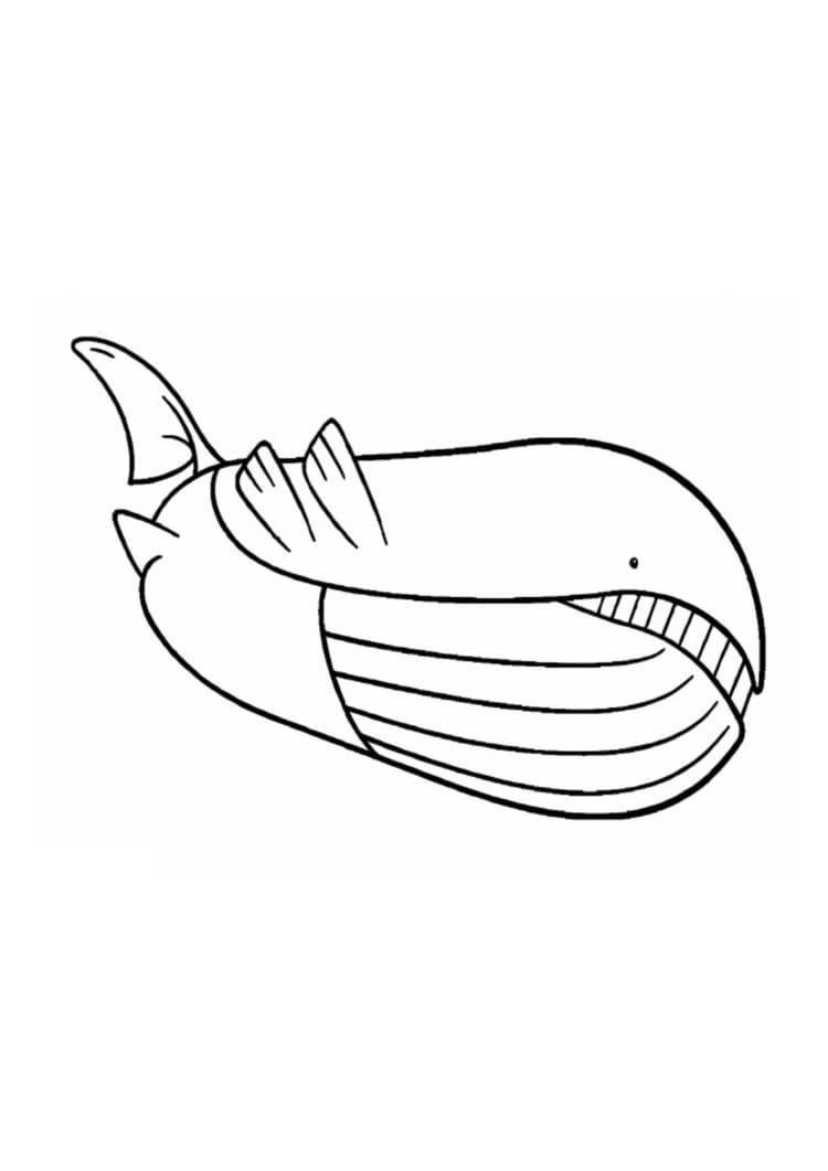 Página para colorear Wailord (A4) para imprimir