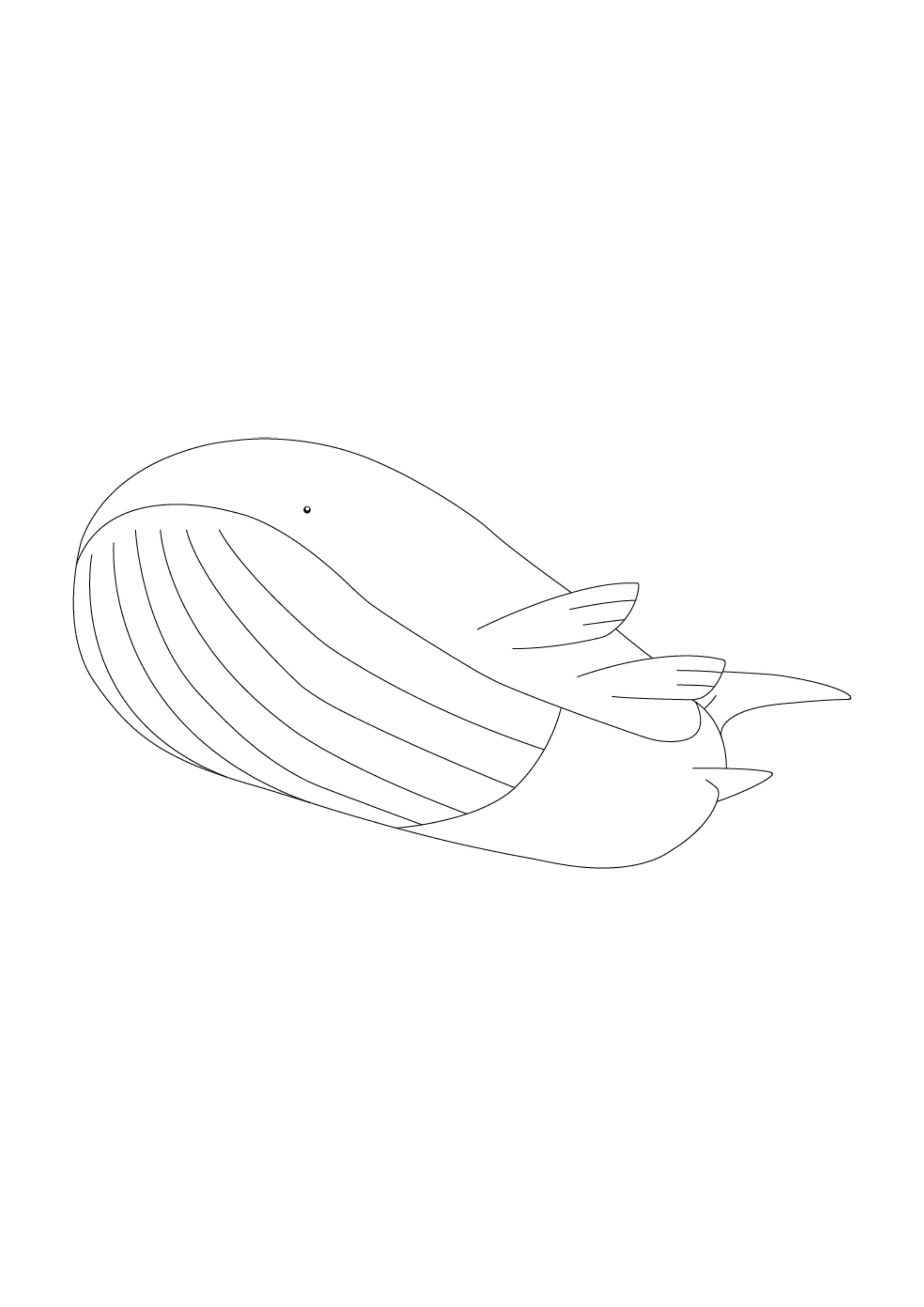 Página para colorear Wailord (A4) para imprimir