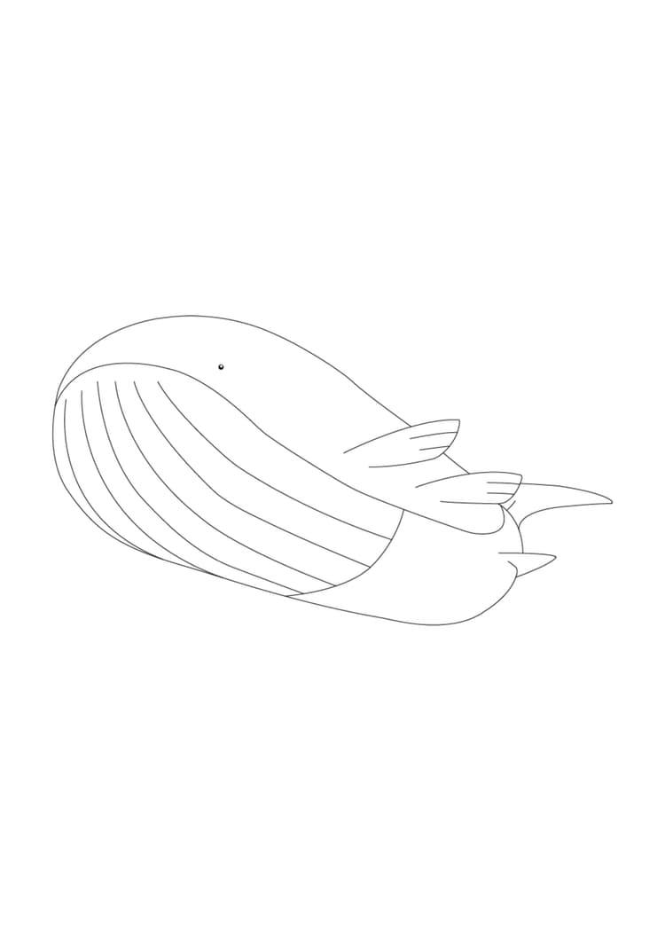 Página para colorear Wailord (A4) para imprimir