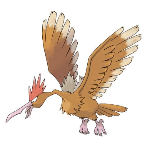 Página para colorear Fearow