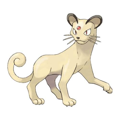 Página para colorear Persian