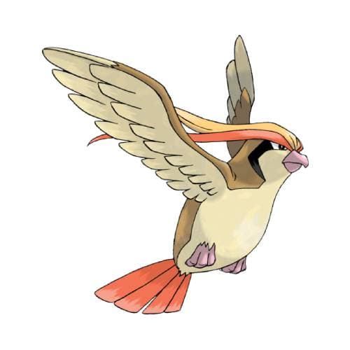 Página para colorear Pidgeot