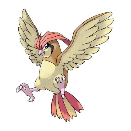 Página para colorear Pidgeotto
