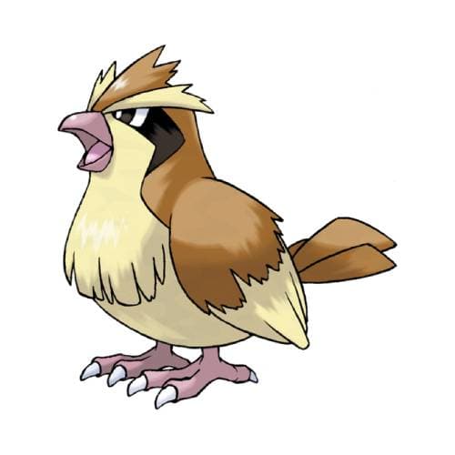 Página para colorear Pidgey