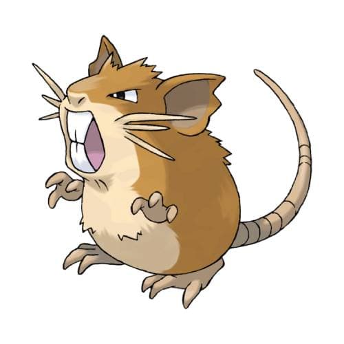 Página para colorear Raticate