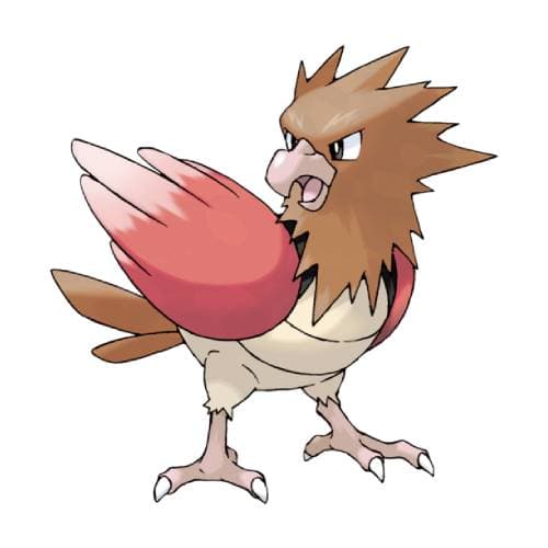 Página para colorear Spearow